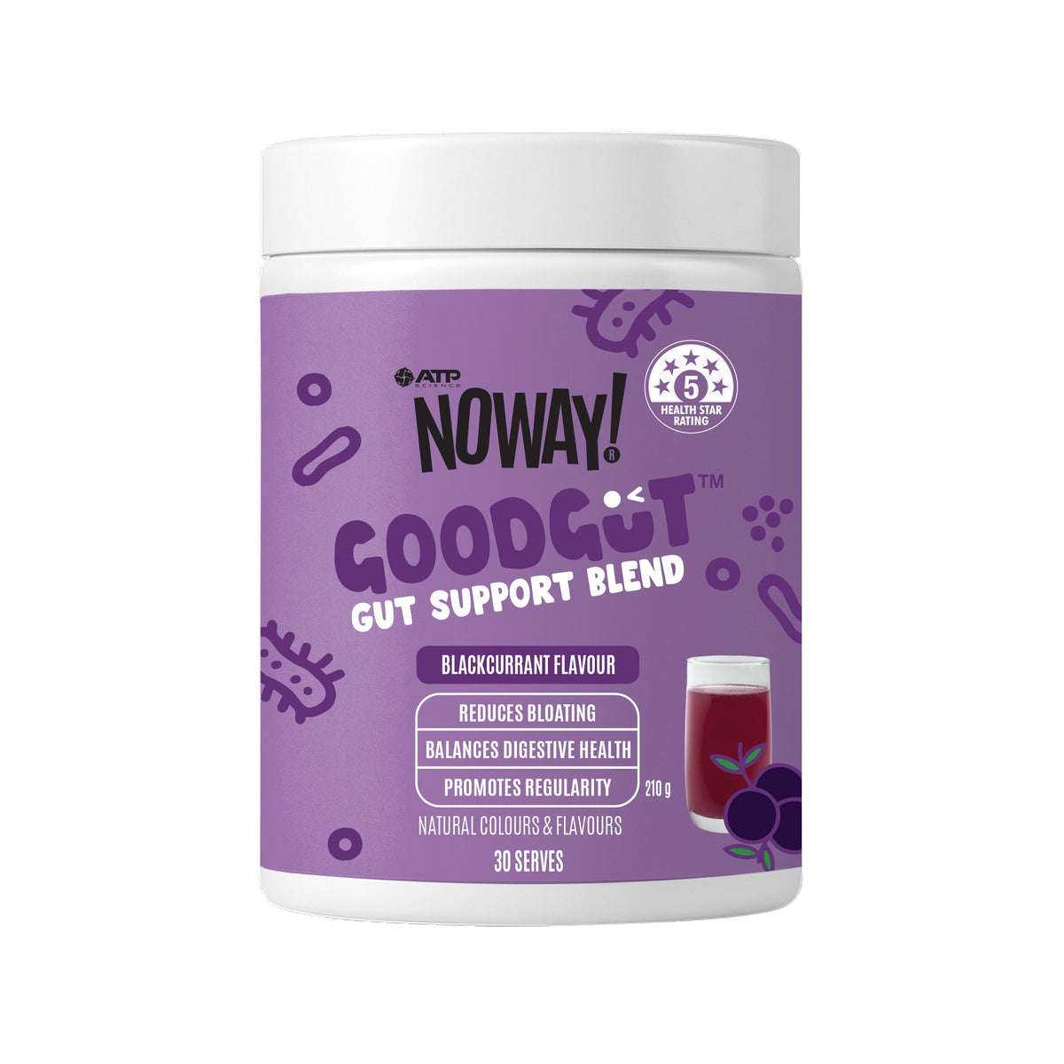 ATP Science NOWAY Goodgut Blackcurrant 210g